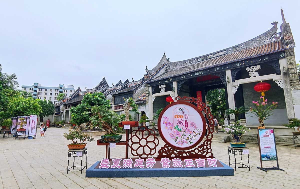 盛夏满庭芳 紫薇正当时1.jpg